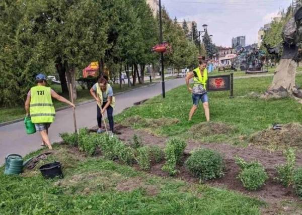 У рівненському парку висадили більше 200 хризантем - INFBusiness