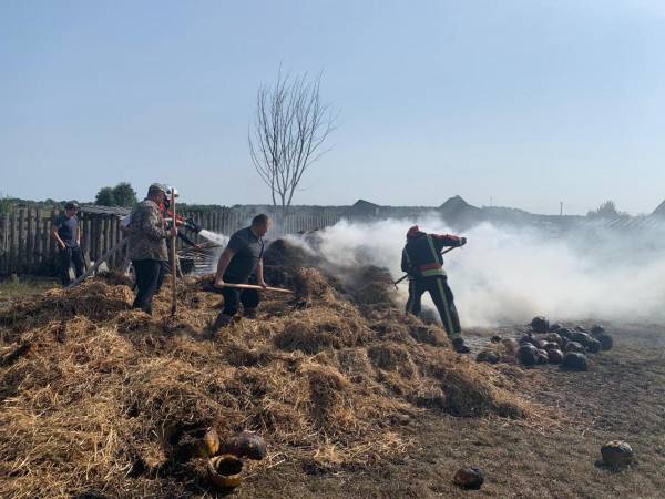 У Вараському районі вогонь знищив 7 тонн соломи в тюках - INFBusiness