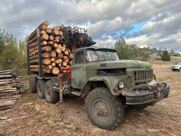 На Сарненщині поліцейські вилучили понад 12 кубів незаконної деревини - INFBusiness