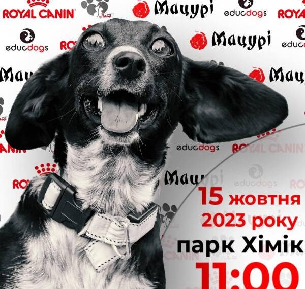 У Рівному відбудеться забіг з собаками “Лапа Run 2023”