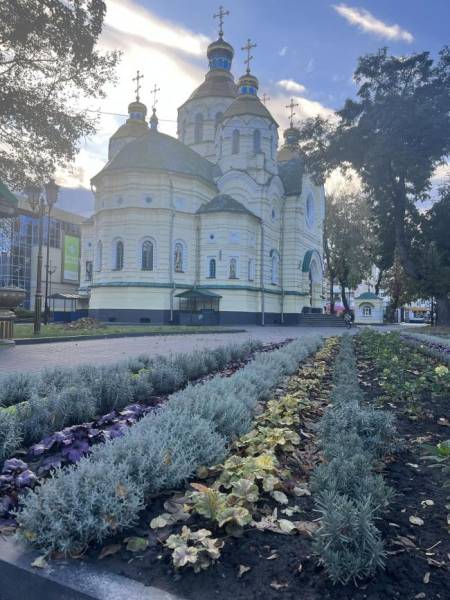 Гейхера та лаванда: комунальники показали красу біля собору в Рівному - INFBusiness