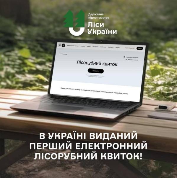 Перший лісорубний е-квиток в Україні видали на Рівненщині - INFBusiness