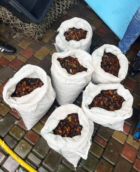 На Рівненщині до державної скарбниці передали понад 100 кг бурштину