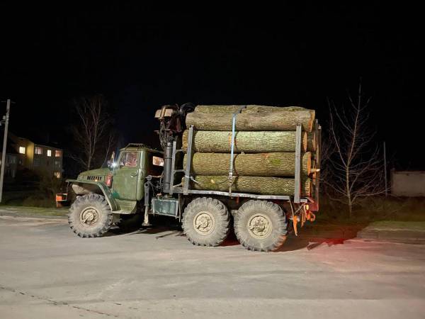 На Рівненщині водій перевозив дубові колоди без належних документів - INFBusiness