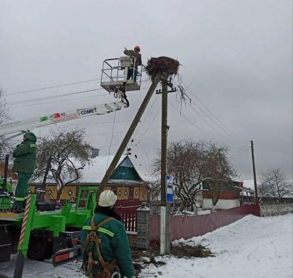 Енергетики встановили безпечні гнізда для лелек на Рівненщині