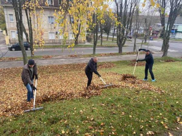 У Рівному працівники дитячої лікарні влаштували толоку - INFBusiness