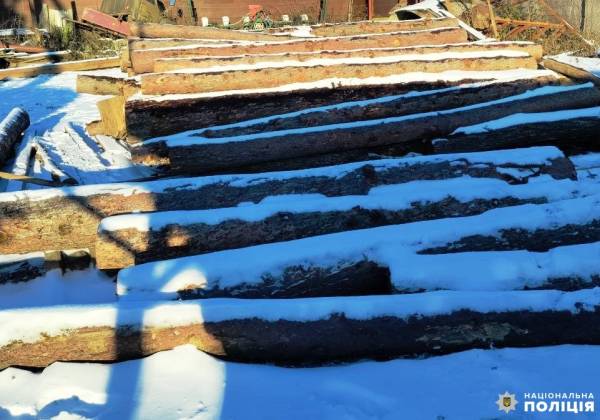 Деревина без документів: у жителя Рівненського району вилучили 38 колод модрини - INFBusiness