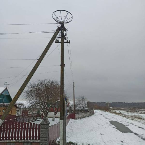 Енергетики встановили безпечні гнізда для лелек на Рівненщині - INFBusiness