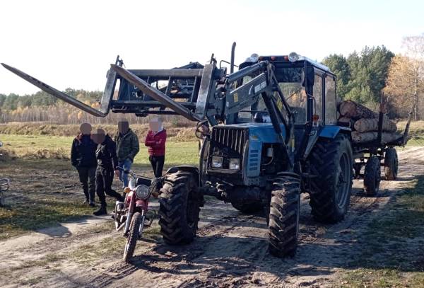 У Вараського району поліцейські задокументували три факти незаконної порубки та перевезення лісу - INFBusiness