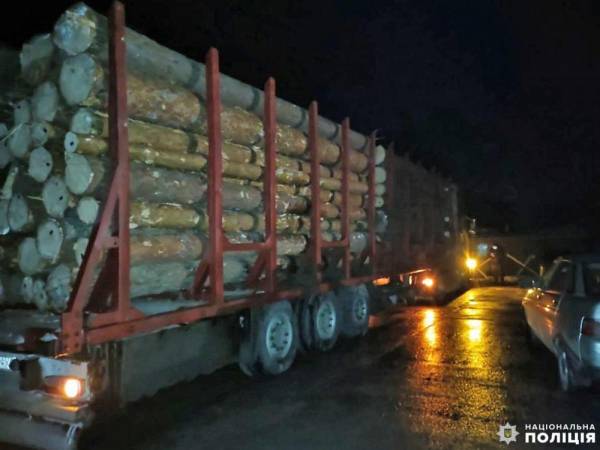 На блокпосту на Рівненщині зупинили вантажівку, у якій незаконно перевозили деревину - INFBusiness