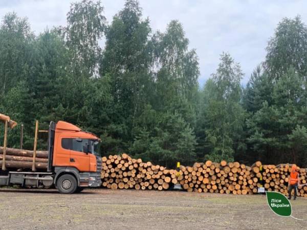 Лісівники Рівненщини й Волині заготовили для військових понад 12 тис. кубометрів деревини - INFBusiness