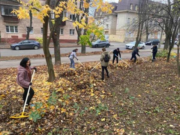 У Рівному працівники дитячої лікарні влаштували толоку - INFBusiness