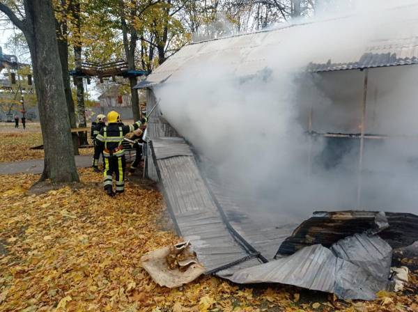 Сарненські рятувальники ліквідували пожежу на території міського парку - INFBusiness