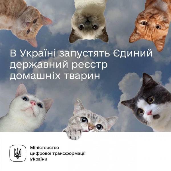 В Україні запустять Єдиний державний реєстр домашніх тварин - INFBusiness