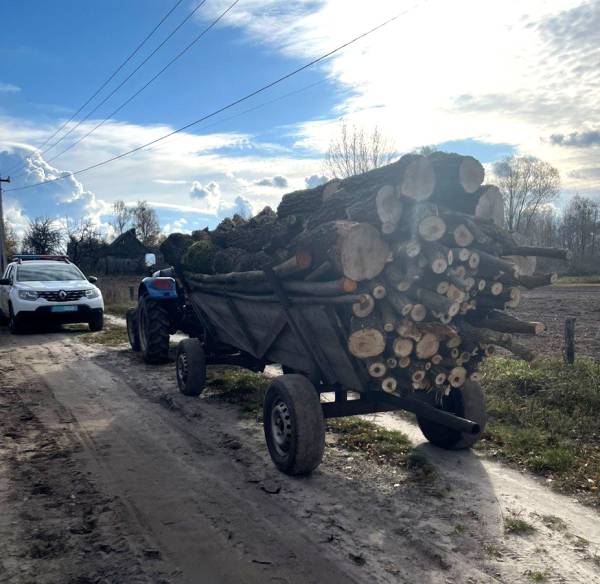 У Вараського району поліцейські задокументували три факти незаконної порубки та перевезення лісу - INFBusiness