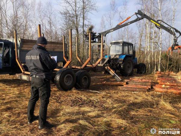 Виявили авто, у якому була деревина: на Рівненщині поліцейські задокументували злочин - INFBusiness