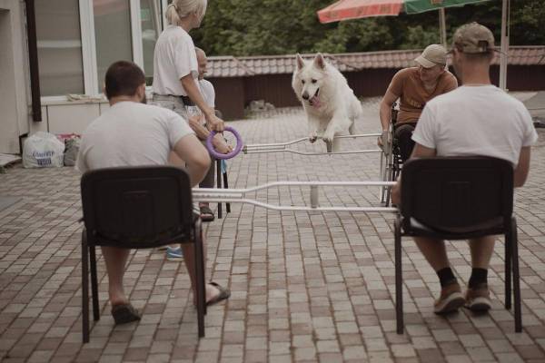 На Рівненщині військові сфотографувалися для календаря аби підтримати каністерапію - INFBusiness