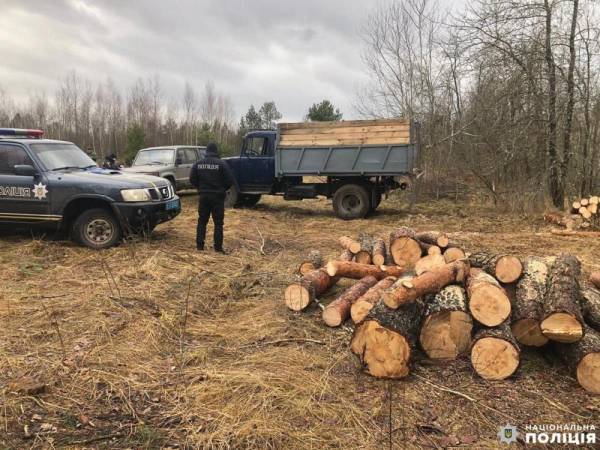 Виявили авто, у якому була деревина: на Рівненщині поліцейські задокументували злочин - INFBusiness