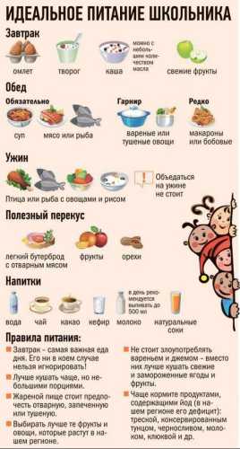 Правильне харчування школярів — скільки і чого саме потрібно дитячому організму - INFBusiness