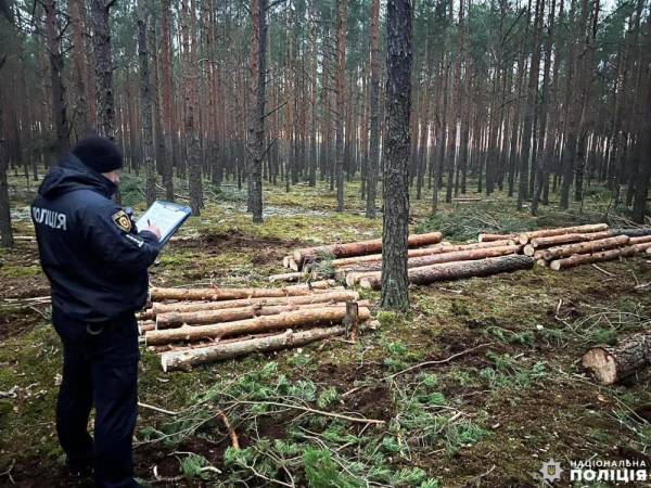 На Рівненщині поліція виявила незаконну вирубку дерев - INFBusiness