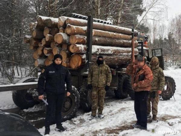 На Рівненщині вантажівка перевозила більше 10 кубометрів деревини без документів - INFBusiness