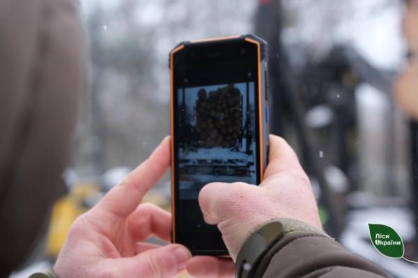 На Рівненщині та Волині впроваджують фотофіксацію деревини: навіщо це потрібно - INFBusiness