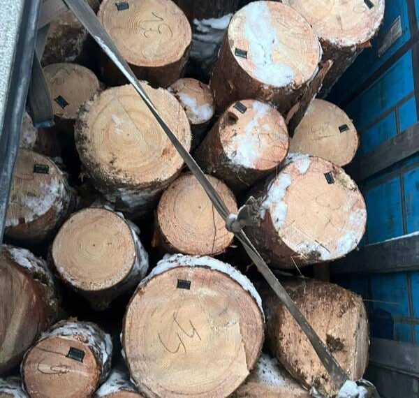 На Сарненщині правоохоронці задокументували факт незаконного перевезення деревини