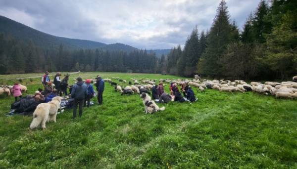 Вівчарське свято "Міра" внесли до нацпереліку нематеріальної культурної спадщини - INFBusiness