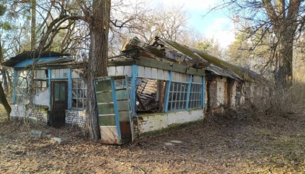 Місце на Черкащині, де Гоголь написав повість «Вій», перетворилося на руїни - INFBusiness