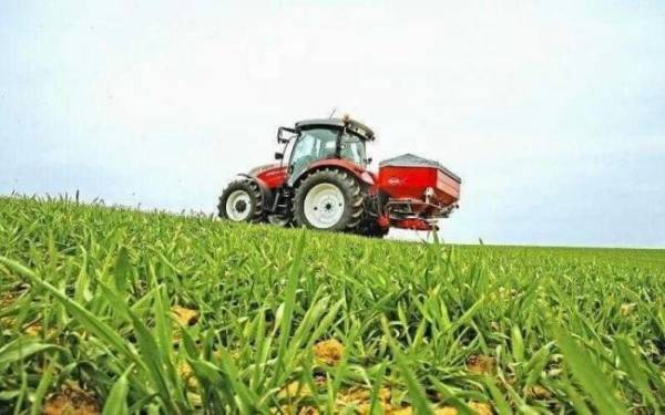 Аграрії Рівненщини розпочали підживлення озимих культур - INFBusiness