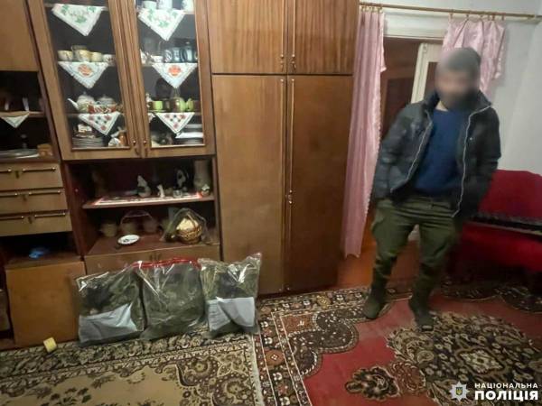 На Рівненщині викрили чоловіка на зберіганні нарковмісних рослин - INFBusiness