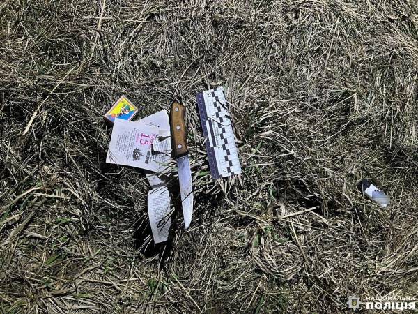 Побив сусідку та кидався на батька: жителя Рівненського району помістили у спецзаклад - INFBusiness
