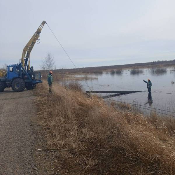 На Сарненщині майже півсотні споживачів залишилися без електропостачання - INFBusiness