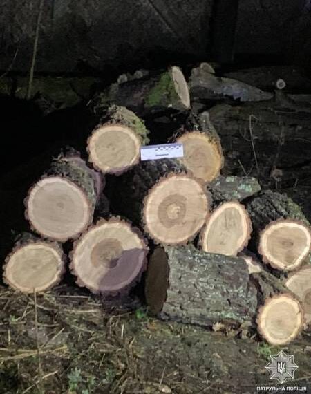 На Дубенщині чоловік викрав колоди