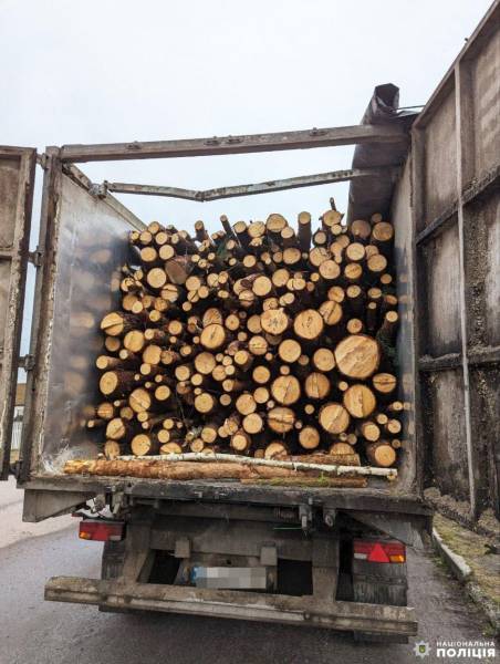 На Рівненщині затримали чоловіка, який перевозив незаконно деревину під виглядом кукурудзи - INFBusiness