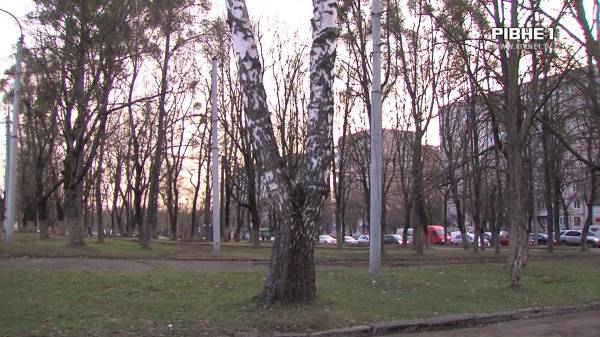 Замість дерев стоянка? "Рівнеелектроавтотранс" на місці зелених насаджень хоче облаштувати автобусну стоянку (ВІДЕО) - INFBusiness