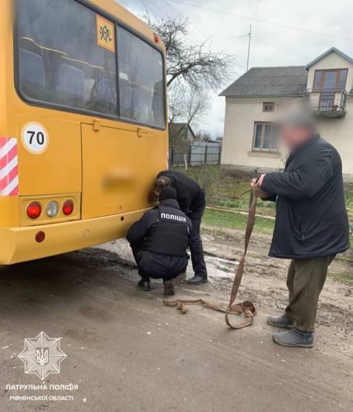 На Дубенщині шкільний автобус витягували з кювету - INFBusiness