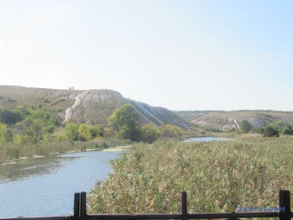 Травництво Старобільського краю як нематеріальна культурна спадщина України - INFBusiness