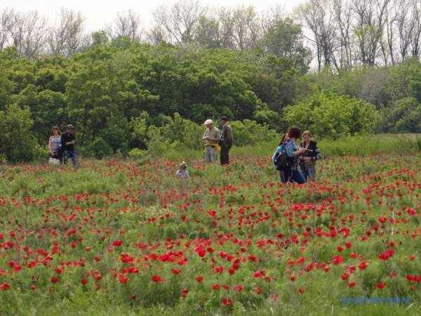 Травництво Старобільського краю як нематеріальна культурна спадщина України - INFBusiness