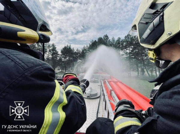 Як лісівники Рівненщини й Волині готуються до пожежонебезпечного періоду - INFBusiness