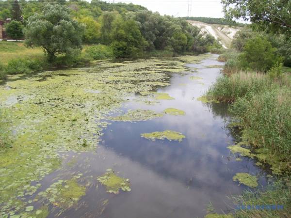 Травництво Старобільського краю як нематеріальна культурна спадщина України - INFBusiness