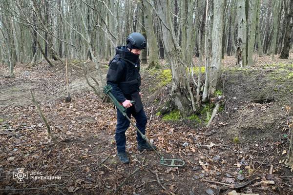 На Дубенщині у лісі знайшли 27 боєприпасів часів Другої світової війни - INFBusiness