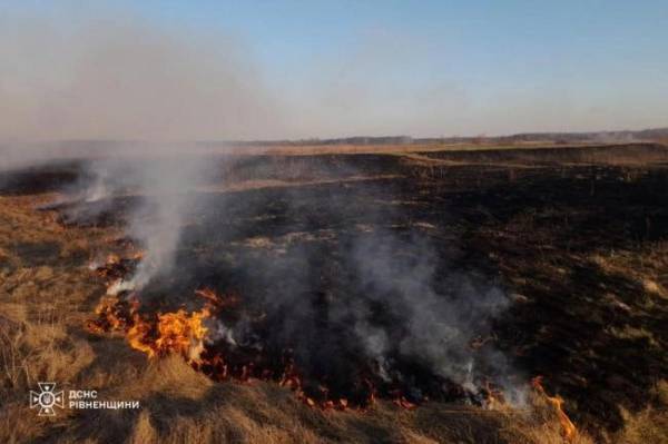 На Рівненщині двічі за добу гасили займання сухостою - INFBusiness