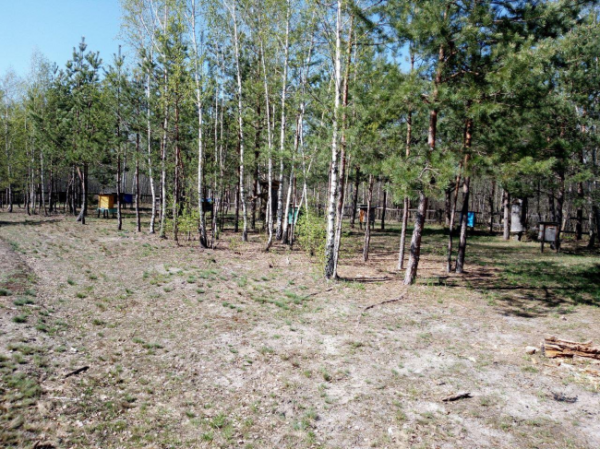 До Дня довкілляна у нацпарку на Рівненщині показали мальовничі світлини природи (ФОТО) - INFBusiness