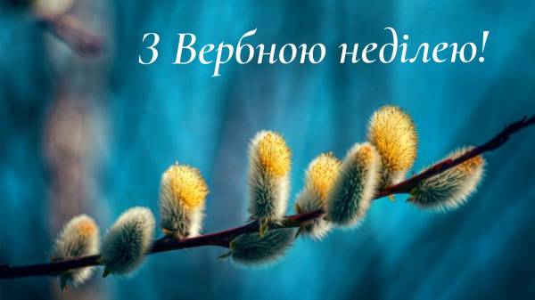 Вербна неділя 2024: привітання у віршах та прозі - INFBusiness