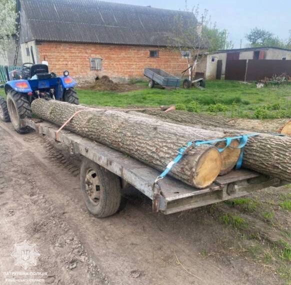 На Дубенщині тракторист перевозив деревину без належних документів