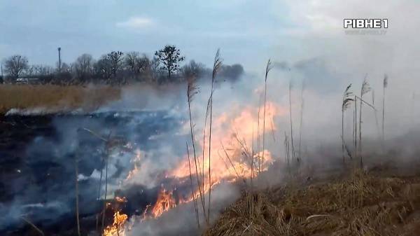 Від 3 до 6 тисяч штрафу: рятувальники Рівненщини нагадують, чим загрожує спалення сміття на городах (ВІДЕО) - INFBusiness