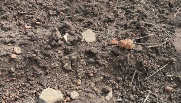 На Тернопільщині археологи виявили нові артефакти трипільської культури Фото 02.04.2024 15:09 Укрінформ На Тернопільщині під час планових археологічних обстежень трипільських поселень виявлено фрагменти кераміки, крем'яні знаряддя праці та глиняні фігурки, яким понад 5 тисяч років. На Тернопільщині археологи виявили нові артефакти трипільської культури - INFBusiness