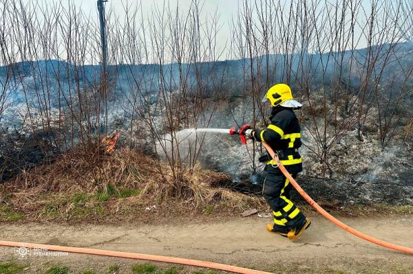 На Рівненщині за минулу добу ліквідували 17 пожеж - INFBusiness