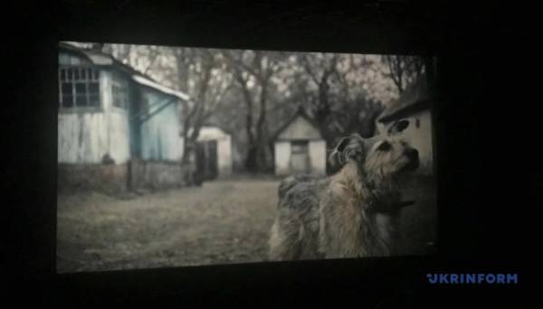 Дні європейського кіно в Туреччині розпочали показом українського фільму «Степне» - INFBusiness